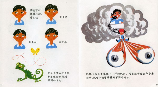 眼睛的故事 (10),绘本,绘本故事,绘本阅读,故事书,童书,图画书,课外阅读